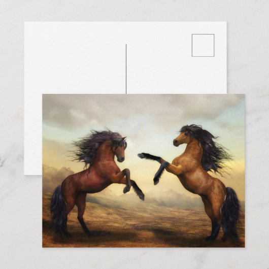 野生の馬 ポストカード (正面/裏面)