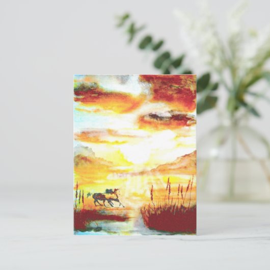 野生の馬。 ポストカード (スタンド正面)