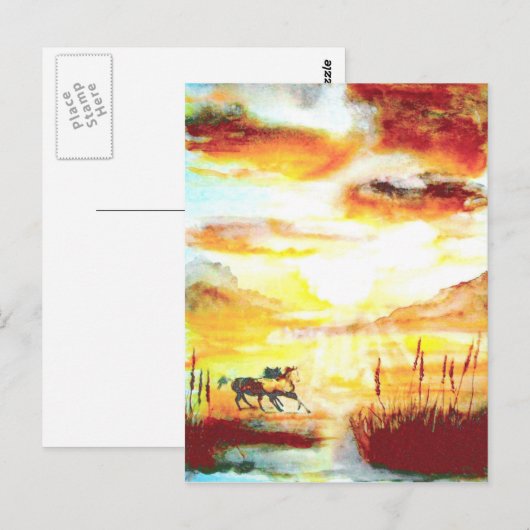 野生の馬。 ポストカード (正面/裏面)