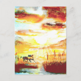野生の馬。 ポストカード