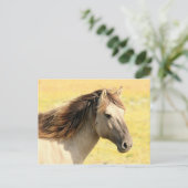 野生の馬 ポストカード (スタンド正面)