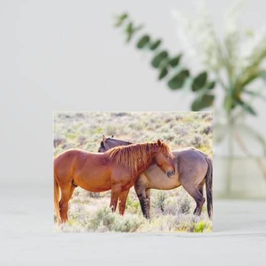 野生の馬 ポストカード (スタンド正面)