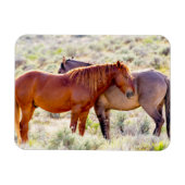 野生の馬 マグネット (横)