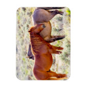 野生の馬 マグネット (縦)