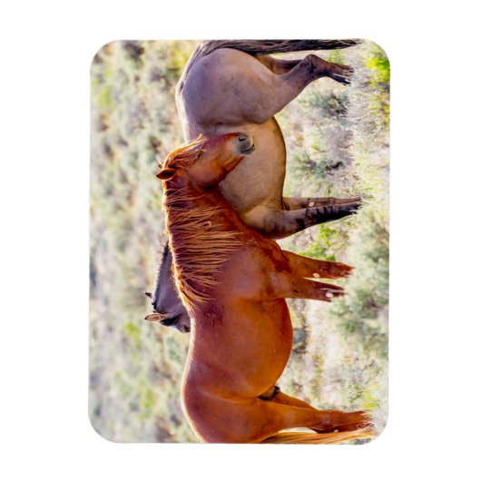 野生の馬 マグネット (縦)