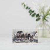 野生の馬 名刺 (スタンド正面)