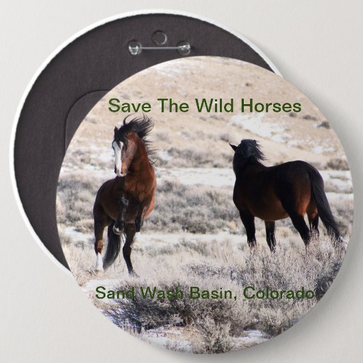野生の馬、砂の洗面器、コロラド州を救って下さい 缶バッジ (正面&裏面)