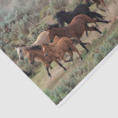 野生の馬 薄葉紙 (詳細)