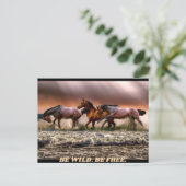 野生の馬 – 野生でいなさい。自由でいなさい。 ポストカード (スタンド正面)