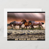 野生の馬 – 野生でいなさい。自由でいなさい。 ポストカード (正面/裏面)