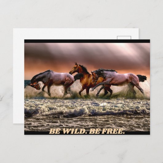 野生の馬 – 野生でいなさい。自由でいなさい。 ポストカード