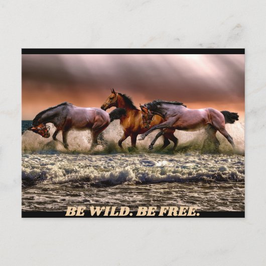 野生の馬 – 野生でいなさい。自由でいなさい。 ポストカード (正面)