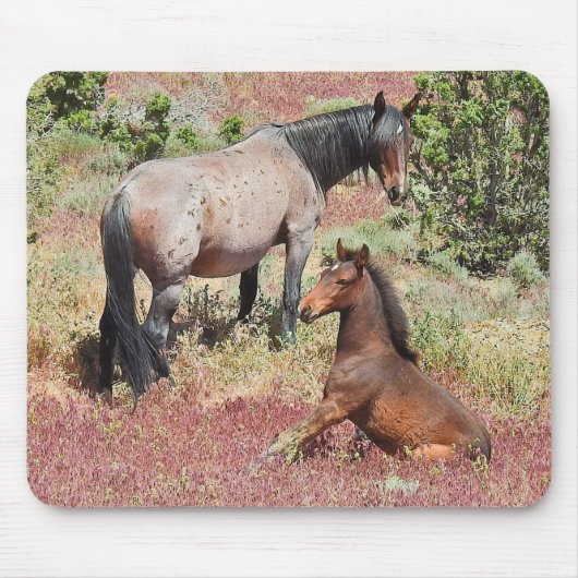 野生の馬、野生動物、ネズミの巣 マウスパッド (正面)