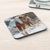 野生の馬、野生生物、コースター、セット6 コースター (左側)