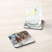 野生の馬、野生生物、コースター、セット6 コースター (右側)