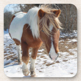 野生の馬、野生生物、コースター、セット6 コースター