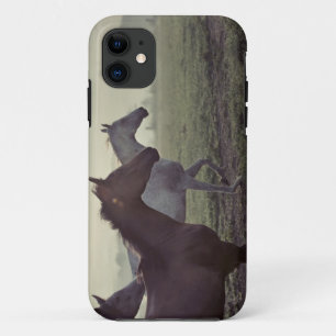 野生の馬 iPhone 11 ケース