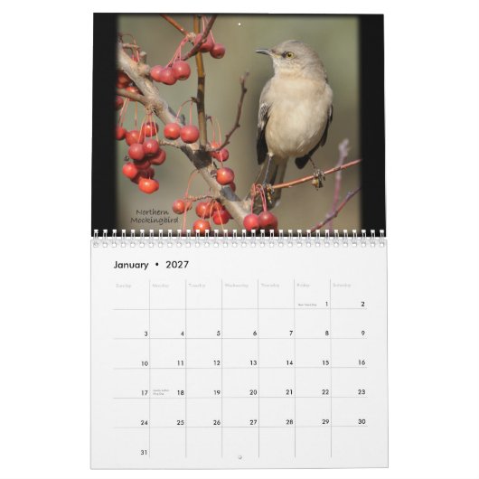 野生の鳥のカレンダーの美しい カレンダー (1月 2027)