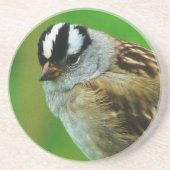 野生の鳥-白によって戴冠させるウタスズメ コースター (正面)