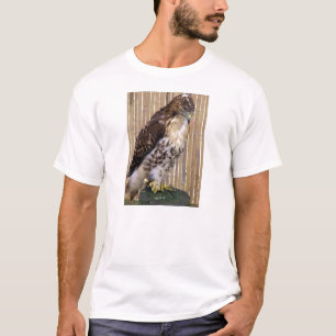 野生の鳥: 赤後につかれたタカ Tシャツ