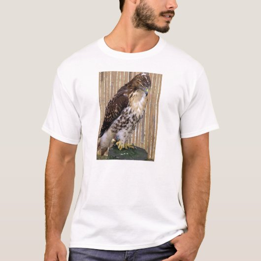 野生の鳥: 赤後につかれたタカ Tシャツ (正面)