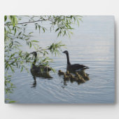 野生の鵞歯垢 フォトプラーク (正面)