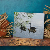 野生の鵞歯垢 フォトプラーク (側面)