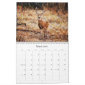野生の鹿の写真芸術的アートカレンダー カレンダー (3月 2027)