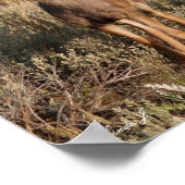 野生の鹿の子 キャンバスプリント ポスター (角)