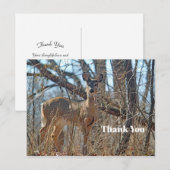 野生の鹿の森の写真 ありがとう ポストカード (正面/裏面)
