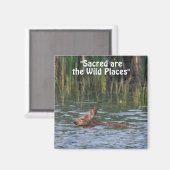 野生の鹿は荒野を嘆くギフトマグネット マグネット (正面/裏面)