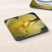 野生の黄色いバラ コースター (左側)