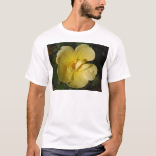 野生の黄色いバラ Tシャツ