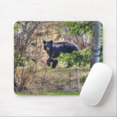 野生の黒いクマと木の野生生物写真 マウスパッド (マウス)