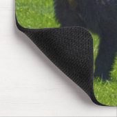 野生の黒いクマと草の野生動物の写真 マウスパッド (コーナー)