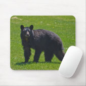 野生の黒いクマと草の野生動物の写真 マウスパッド (マウス)
