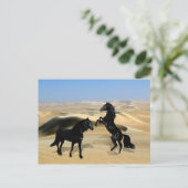 野生の黒い美しい馬 ポストカード (スタンド正面)