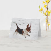 "野生の"そう書注記カードのバセットハウンド カード (黄色い花)