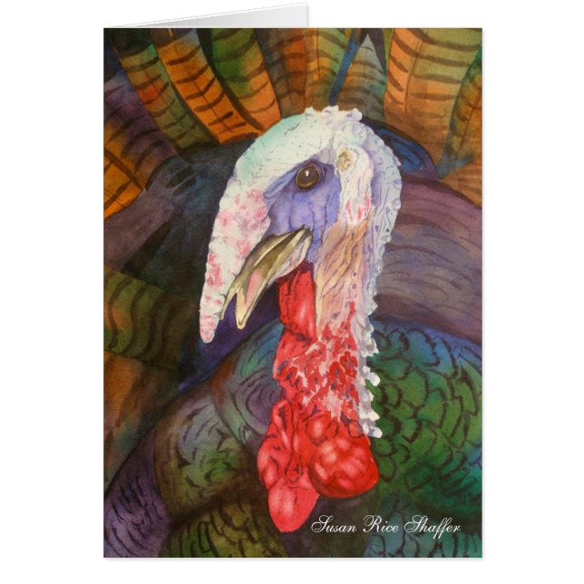 "野生の"トルコ (正面)