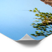 野生の《鳥》ハヤブサ鳥 ポスター (角)