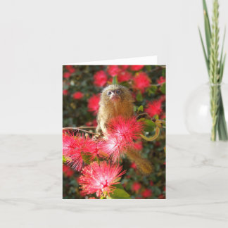 "野生の" NotecardsのMico カード