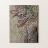 野生のcottontailウサギ ジグソーパズル (縦)