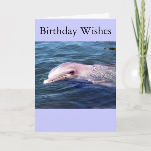 野生のDophin カード (正面)