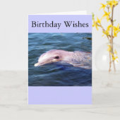 野生のDophin カード (黄色い花)