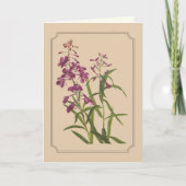 野生のFireweedのヴィンテージの植物のスケッチ カード (正面)