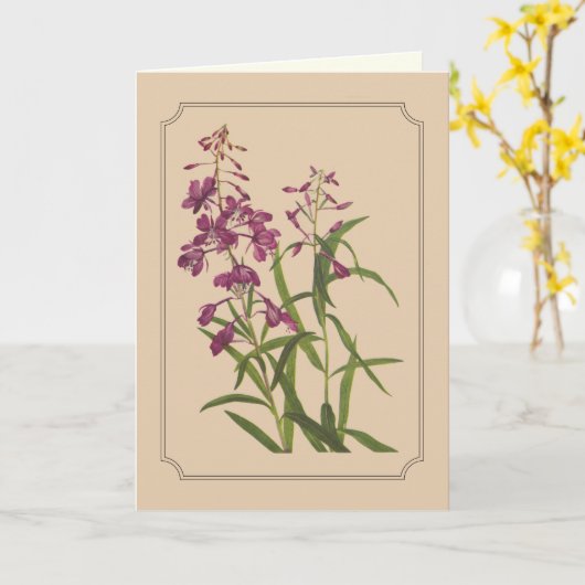 野生のFireweedのヴィンテージの植物のスケッチ カード (黄色い花)