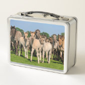 野生のHerd Grullo色のDulmen馬のフォール写真 メタルランチボックス (裏面)