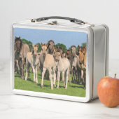 野生のHerd Grullo色のDulmen馬のフォール写真 メタルランチボックス (インサイチュ)
