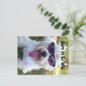 野生まれ葉書 ポストカード (スタンド正面)