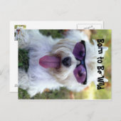 野生まれ葉書 ポストカード (正面/裏面)